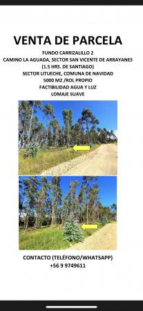 PARCELA DE AGRADO, VEGETACIÓN NATIVA, LOMAJE SUAVE
