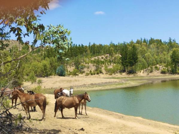 PARCELAS A 20 MINUTOS DE CAUQUENES 