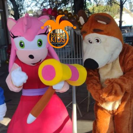 GRAN DIVERSION CON AMY ROSE