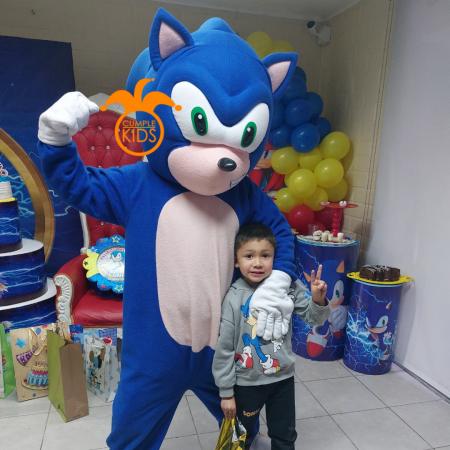 DIVERSION CON SONIC