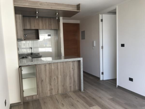 ARRIENDO DEPARTAMENTO SANTIAGO CENTRO