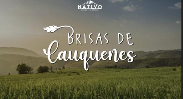 PARCELAS BRISAS DE CAUQUENES 