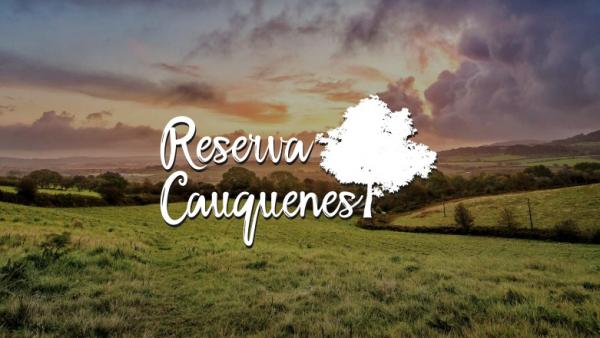 PARCELAS EN RESERVA CAUQUENES 
