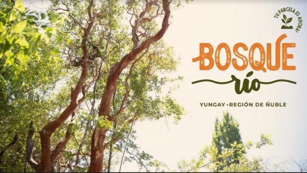 PARCELAS EN YUNGAY BOSQUE RIO 