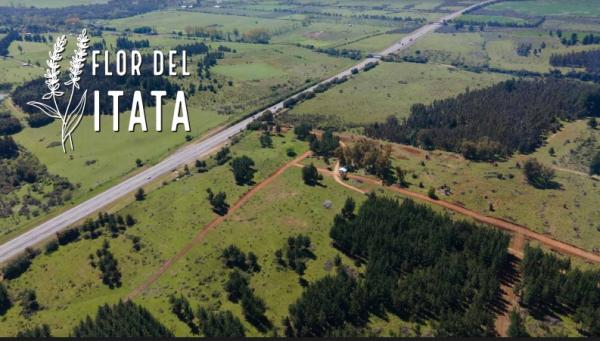 PARCELAS FLOR DEL ITATA CHILLAN 