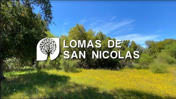 PARCELAS LOMAS DE SAN NICOLAS ÑUBLE 