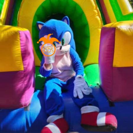 SONIC EN TU HOGAR