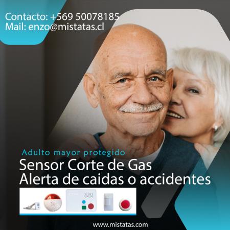 SISTEMA DE SENSORES DE CAÍDA Y CORTE DE GAS 