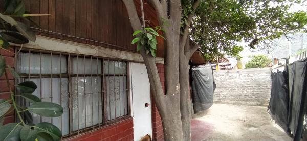 CASA USADA