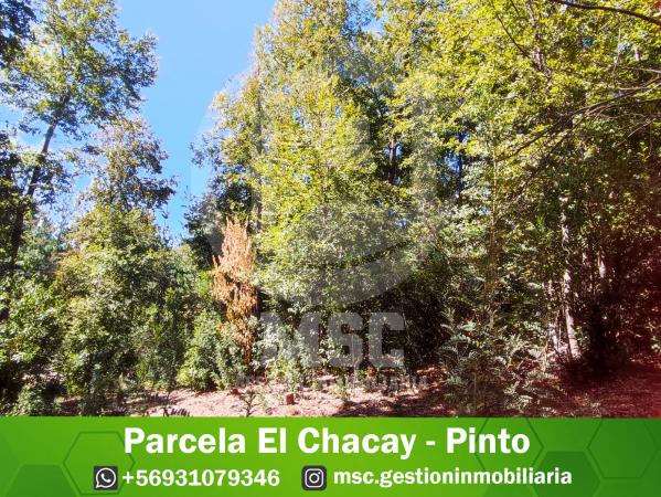 PARCELA EL CHACAY - PINTO