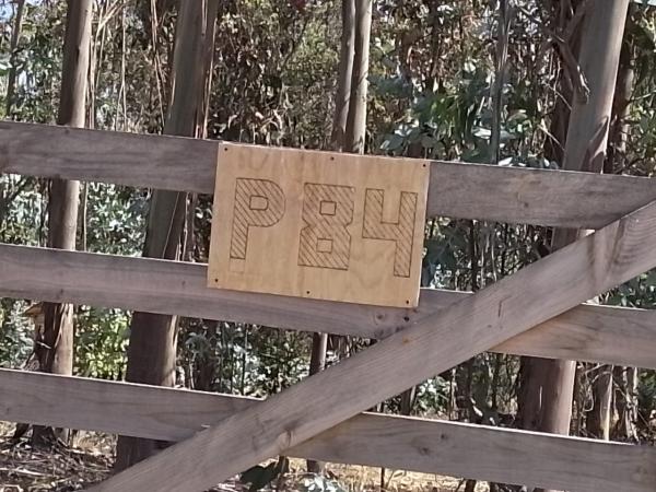 PARCELA EN LITUECHE VENDE SU DUEÑO