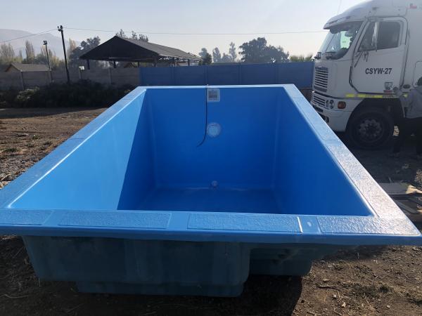 PISCINA RECTANGULAR DE 4 M DE LARGO
