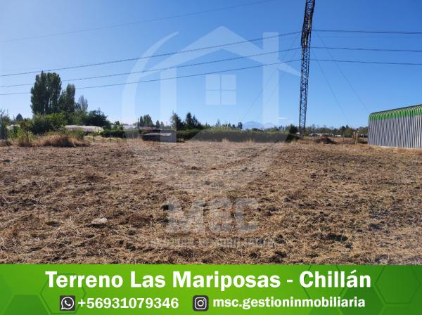 TERRENO LAS MARIPOSAS