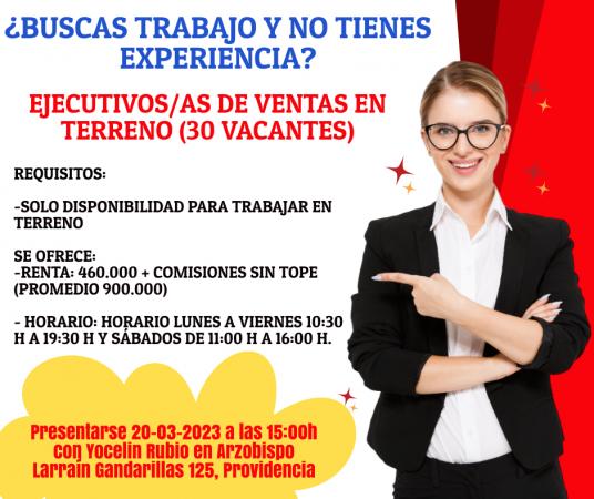 Ejecutivos/as De Ventas En Terreno