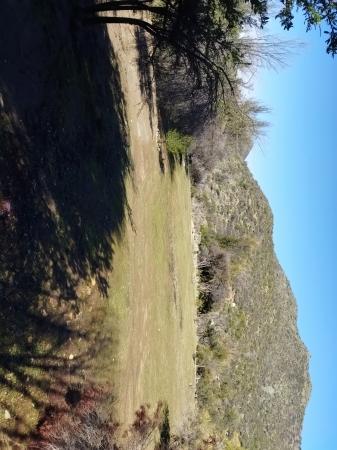 Hermosa Parcela 3,2 Hectáreas En Sector Caleu.
