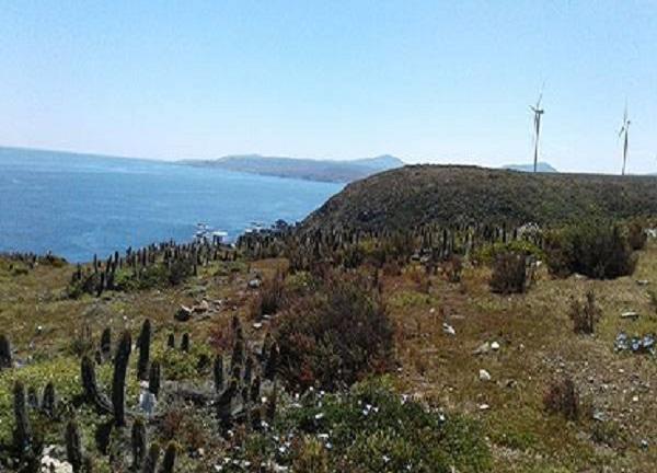 PARCELAS UBICADAS EN COSTA DORADA OVALLE