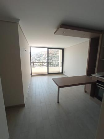 Arriendo Depto Nuevo Comuna De Recoleta.