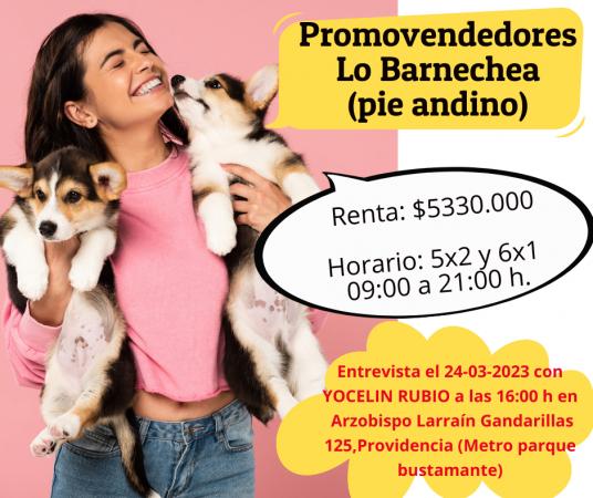 Promovendedores Lo Barnechea 