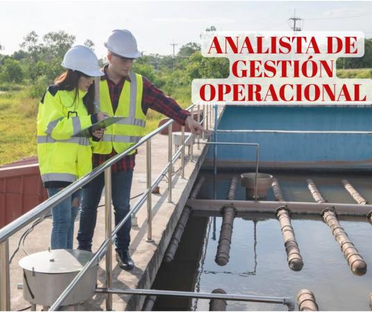 Analista De Gestión Operacional