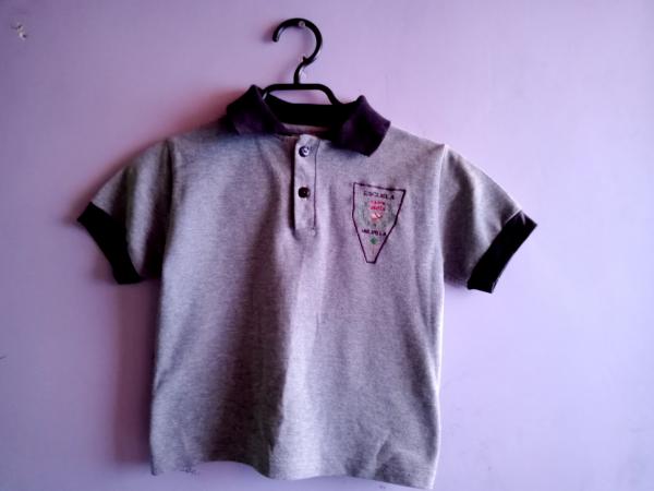 POLERA DE LA ESCUELA CAROL URZÚA DE MELIPILLA 