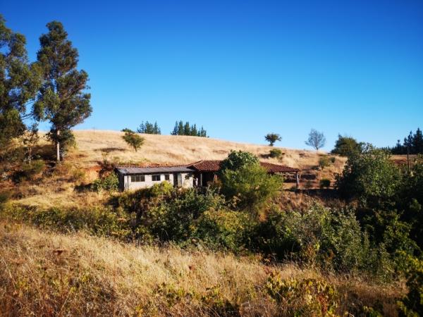 2 HECTAREAS DE TERRENO EN PORTEZUELO