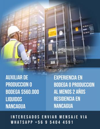 AUXILIAR DE BODEGA - NANCAGUA