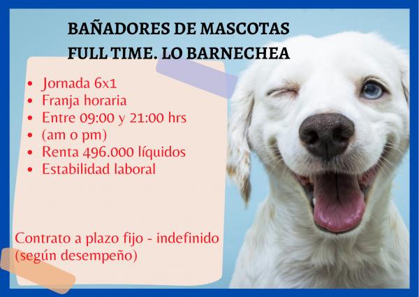 BaÑador De Perros Full Time