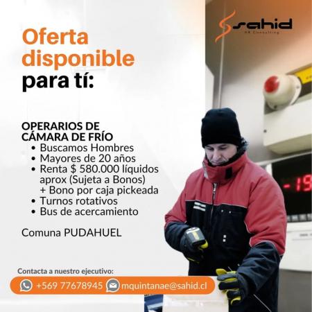 Operario De Cámara Frio - Pudahuel