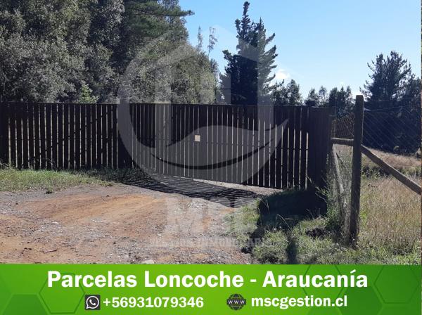 PARCELAS LONCOCHE - ARAUCANIA