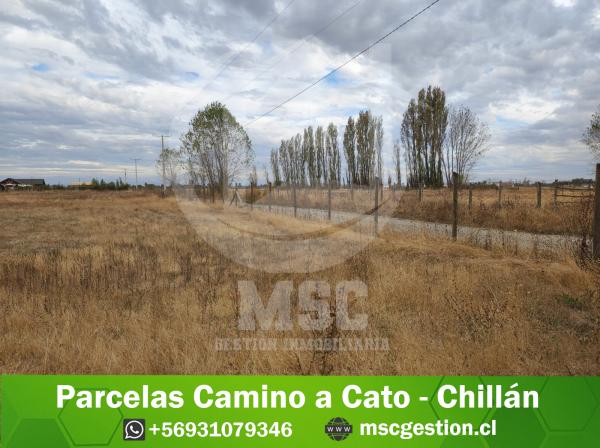 PARCELAS CAMINO A CATO - CHILLÁN