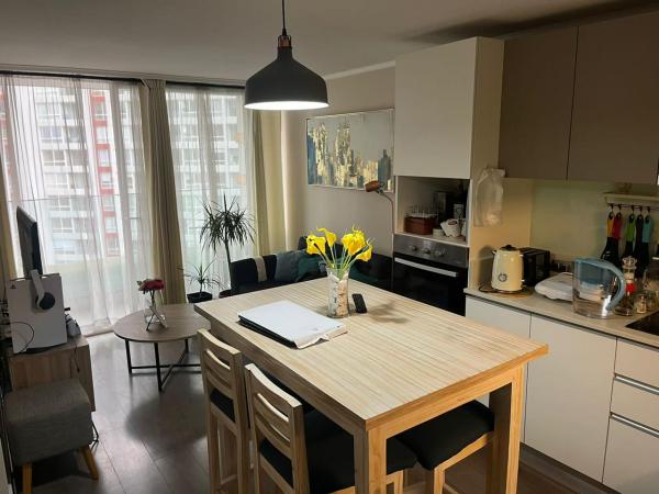 ARRIENDO DEPARTAMENTO MACUL