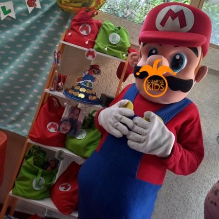 [MARIO BROSS] ARRENDO DE DISFRAZ