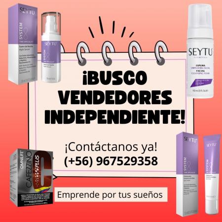 CREA TU PROPIA TIENDA ONLINE 