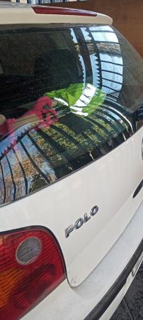 VW POLO HACHBACK PARA DESARME