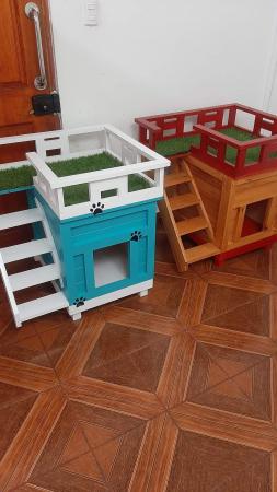 CASA DE GATO