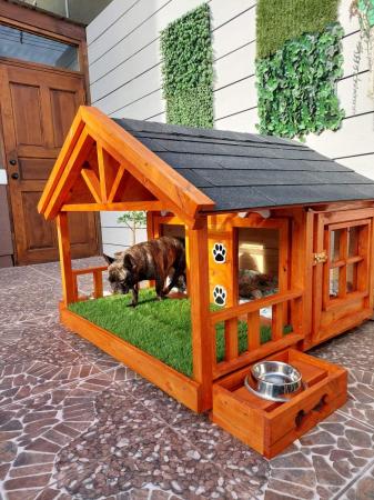 CASA DE PERRO