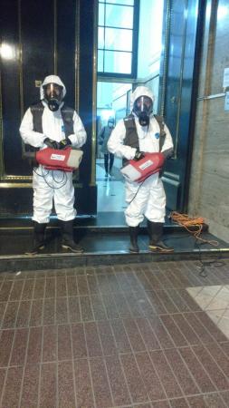 Exterminador De Ratones En Santiago