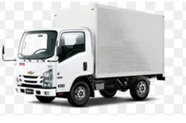 Chófer Con Camion