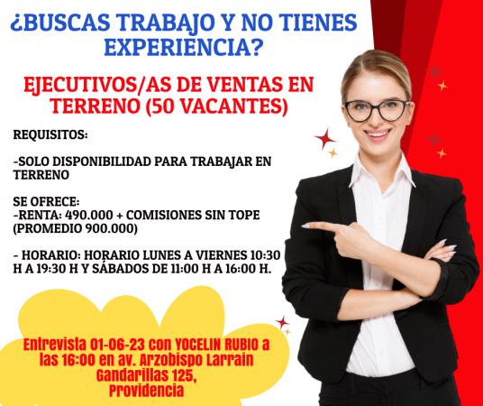 Vendedores En Terreno Rm 900000