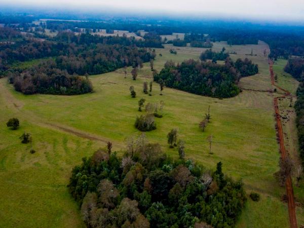 Campo Subdividido De 49,2ha - Villarrica