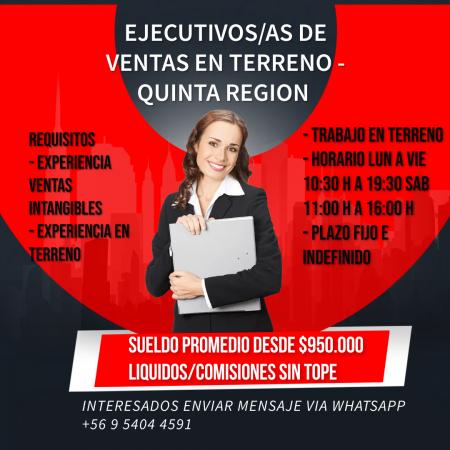 Ejecutivos/as De Venta- Quinta Region