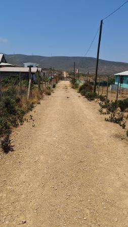 HERMOSOS TERRENOS 