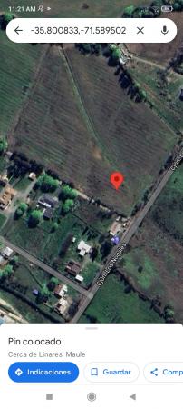 VENDO TERRENO 5.000 MTS CUADRADOS