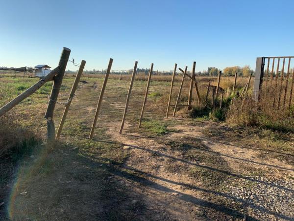 PARCELA DE 24 HA CON RIEGO Y A 5 KM DE LINARES 