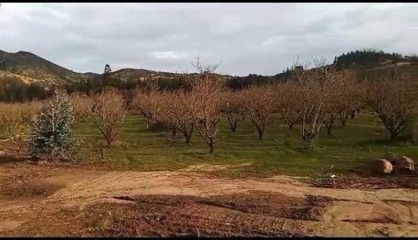 PARCELAS EN PERALILLO OFERTAS DE INVIERNO!!! 