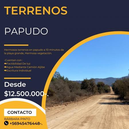 TERRENOS QUINTA REGION 