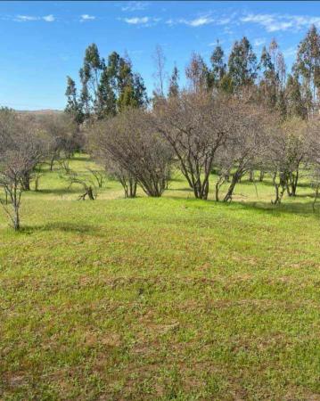 PARCELAS PLANAS 35 MINUTOS DE PICHILEMU