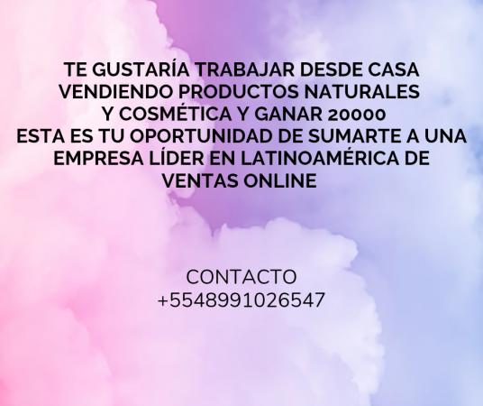 VENDEDORAS ONLINE 
