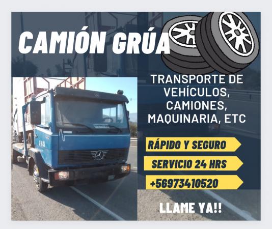 CAMION GRUA