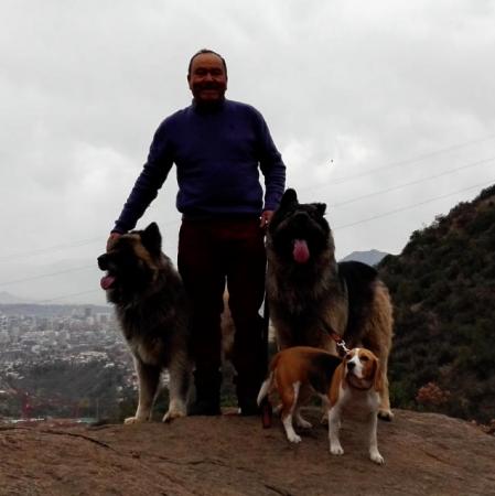 ADIESTRAMIENTO CANINO, PASEO Y HOTEL.